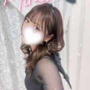 ヒメ日記 2025/06/07 13:38 投稿 みれい プロフィール姫路