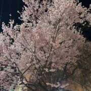 ヒメ日記 2026/04/04 22:17 投稿 すず ごほうびSPA仙台店