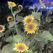 ヒメ日記 2025/08/25 00:03 投稿 りお non-non 神田(ノンノン神田)