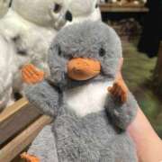 ヒメ日記 2025/09/23 23:23 投稿 りお non-non 神田(ノンノン神田)