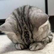 ★こよみ★ お知らせ⋆͛📢⋆ エロリスト富士