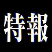 ひめ 特報 Lolipop（ロリポップ）