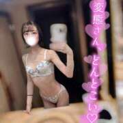 ヒメ日記 2025/06/11 19:25 投稿 はるの 変態ドットコム～即尺痴女伝説