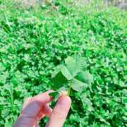 ヒメ日記 2025/10/06 15:01 投稿 女淫魔～さきゅばす～ ドMな奥様 大阪本店