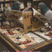 ヒメ日記 2025/11/19 10:00 投稿 女淫魔～さきゅばす～ ドMな奥様 大阪本店