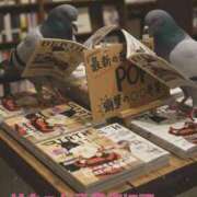 ヒメ日記 2026/03/09 12:01 投稿 女淫魔～さきゅばす～ ドMな奥様 大阪本店