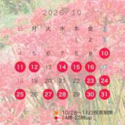 ヒメ日記 2026/09/29 18:02 投稿 女淫魔～さきゅばす～ ドMな奥様 大阪本店
