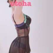 ヒメ日記 2025/06/17 18:18 投稿 おとは ごほうびSPA名古屋店