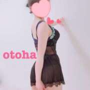 ヒメ日記 2025/06/28 11:55 投稿 おとは ごほうびSPA名古屋店