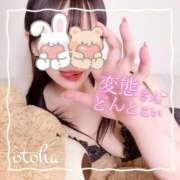 ヒメ日記 2025/10/11 19:18 投稿 おとは ごほうびSPA名古屋店