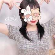 ヒメ日記 2025/10/17 19:38 投稿 おとは ごほうびSPA名古屋店