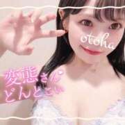 ヒメ日記 2025/11/10 19:08 投稿 おとは ごほうびSPA名古屋店