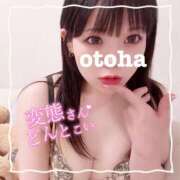 ヒメ日記 2025/11/11 19:17 投稿 おとは ごほうびSPA名古屋店