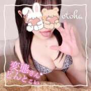 ヒメ日記 2025/12/15 17:18 投稿 おとは ごほうびSPA名古屋店