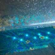 ヒメ日記 2025/07/27 12:15 投稿 のぞみ KUROKIN-黒い金魚Ⅱ-