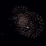 ヒメ日記 2025/08/06 01:19 投稿 のぞみ KUROKIN-黒い金魚Ⅱ-