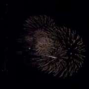 ヒメ日記 2025/08/06 01:25 投稿 のぞみ KUROKIN-黒い金魚Ⅱ-