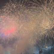 ヒメ日記 2025/08/22 23:06 投稿 のぞみ KUROKIN-黒い金魚Ⅱ-