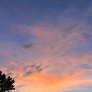 ヒメ日記 2025/09/17 21:07 投稿 のぞみ KUROKIN-黒い金魚Ⅱ-