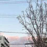 ヒメ日記 2026/01/12 22:45 投稿 のぞみ KUROKIN-黒い金魚Ⅱ-