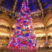 ヒメ日記 2025/12/25 02:18 投稿 かよ YESグループ　華女