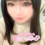 ヒメ日記 2025/06/15 04:07 投稿 なお PRISM(都城)