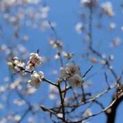 ヒメ日記 2026/04/25 14:52 投稿 あずさ SOAPLAND LOVE FACTORY