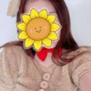 ヒメ日記 2025/08/09 17:42 投稿 ひまわり ぷるりんクエスト上野浅草鶯谷秋葉原デリヘル王国