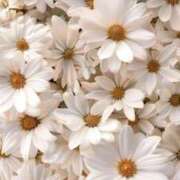 ヒメ日記 2025/06/23 21:26 投稿 あい 即プレイ専門店 性の極み