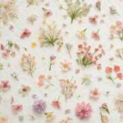 ヒメ日記 2025/07/02 17:56 投稿 あい 即プレイ専門店 性の極み