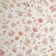 ヒメ日記 2025/07/09 16:36 投稿 あい 即プレイ専門店 性の極み