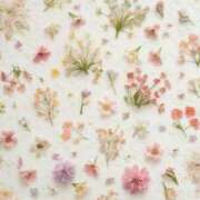 ヒメ日記 2025/07/28 19:46 投稿 あい 即プレイ専門店 性の極み