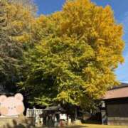 こはく こころ穏やかに ごほうびSPA横浜店