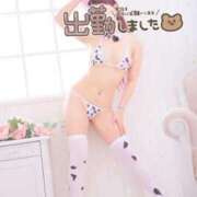 ヒメ日記 2025/11/27 12:06 投稿 りつ 人妻・若妻デリヘル レディプレイス