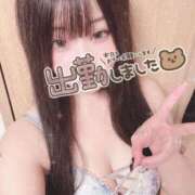 ヒメ日記 2025/11/29 12:05 投稿 りつ 人妻・若妻デリヘル レディプレイス