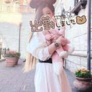 ヒメ日記 2026/01/28 12:07 投稿 りつ 人妻・若妻デリヘル レディプレイス