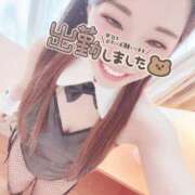 ヒメ日記 2026/02/25 12:04 投稿 りつ 人妻・若妻デリヘル レディプレイス