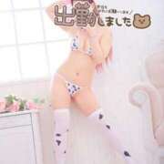 ヒメ日記 2026/03/11 12:05 投稿 りつ 人妻・若妻デリヘル レディプレイス