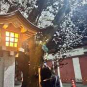 ヒメ日記 2026/04/13 13:24 投稿 りつ 人妻・若妻デリヘル レディプレイス