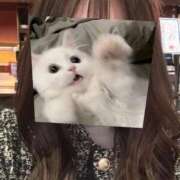 ヒメ日記 2025/06/12 13:32 投稿 らん 11チャンネル