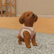 ヒメ日記 2026/01/27 12:01 投稿 らん 11チャンネル