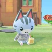 ヒメ日記 2026/03/25 16:45 投稿 らん 11チャンネル