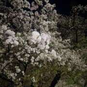 ヒメ日記 2026/03/31 12:23 投稿 らん 11チャンネル