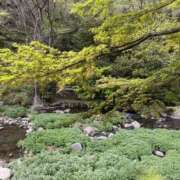 らん おはです🦆 11チャンネル