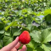 ヒメ日記 2025/07/02 20:50 投稿 せな SOAPLAND LOVE FACTORY