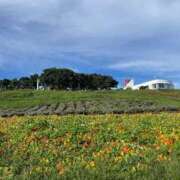 ヒメ日記 2025/07/19 21:32 投稿 せな SOAPLAND LOVE FACTORY