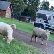 ヒメ日記 2025/07/25 21:22 投稿 せな SOAPLAND LOVE FACTORY