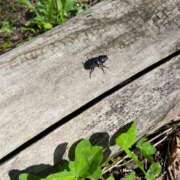 ヒメ日記 2025/07/30 11:31 投稿 せな SOAPLAND LOVE FACTORY