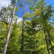 ヒメ日記 2025/08/02 22:33 投稿 せな SOAPLAND LOVE FACTORY