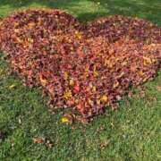 ヒメ日記 2025/08/05 20:12 投稿 せな SOAPLAND LOVE FACTORY